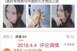 洛浦侦探事务所,婚外情调查专业机构